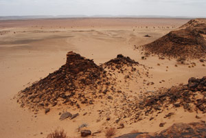 Indagine in Saharawi